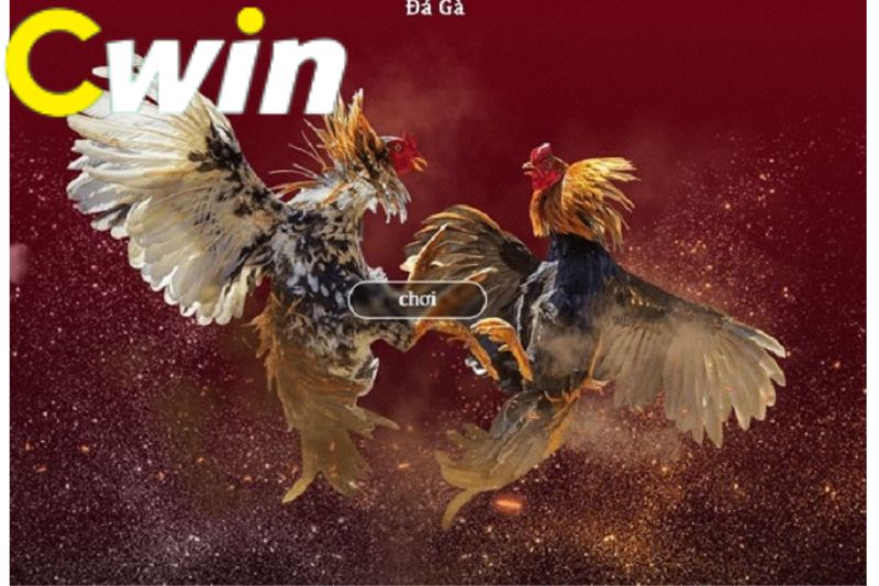 Mục đích của việc tạo ra một trang web 97Win - 97Win