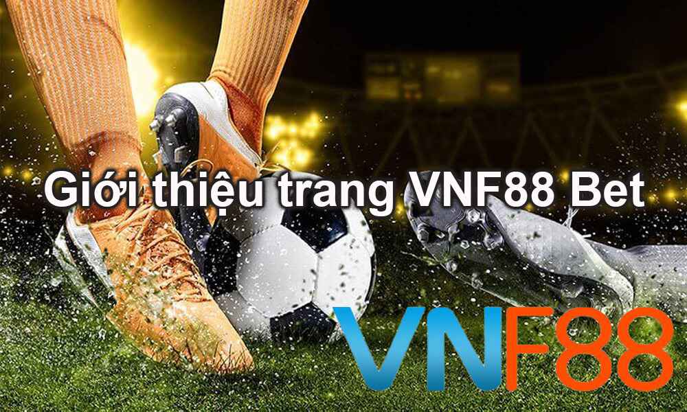 Mec68 cung cấp nhiều dịch vụ giải trí đa dạng - Mec68