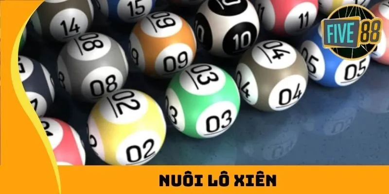 Quy tắc và quy định thi đấu bóng chuyền của Công ty Vn123 Games - Vn123