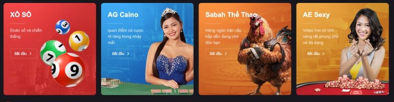 Lợi ích khi tham gia hội viên trực tuyến Vg99 - Vg99