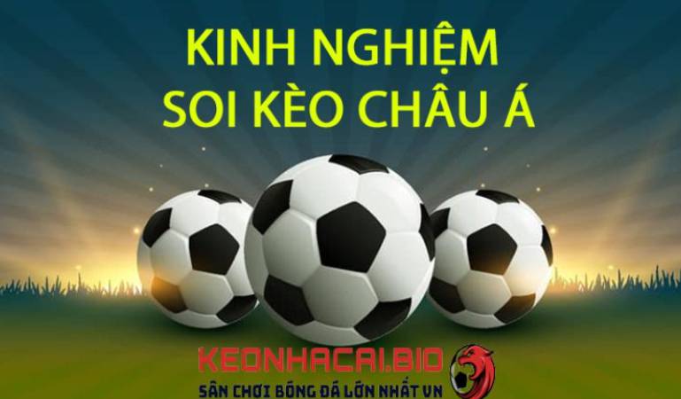 Nền tảng 8Kbet cung cấp một hệ thống giao dịch đa dạng và an toàn - 8Kbet