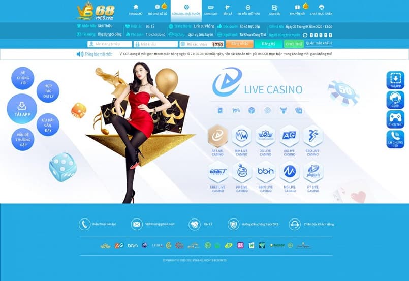 Tổ chức đối tác 365Vn - 365Vn