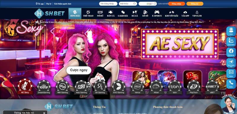 Tôi có thể kỳ vọng Jili là một công ty game có uy tín như thế nào? - Jili