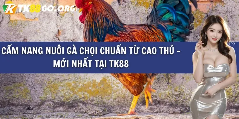 Vạch trần một trang web game được xếp hạng King33 nhưng lại xuyên tạc sự thật và bị nghi ngờ gian lận - King33