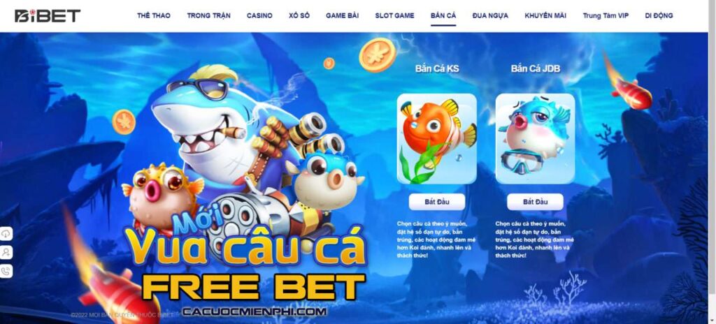 Một trang web cá cược bóng đá uy tín đạt chuẩn Ee88 - Ee88