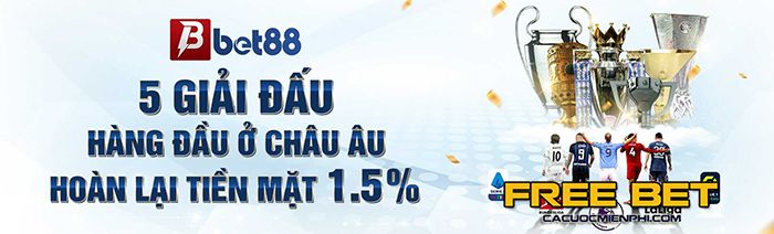 Tổ chức đối tác Viu88 - Viu88