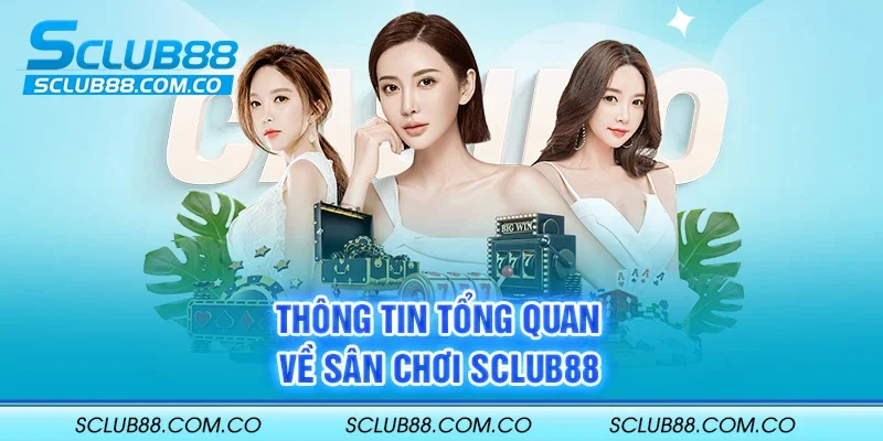 Điều gì làm cho nền tảng Win79 trở nên độc đáo? - Win79