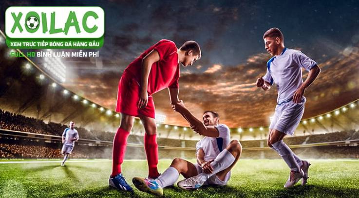 Hb888 sẽ cập nhật các liên kết đăng ký và đăng nhập vào năm 2026 - Hb888